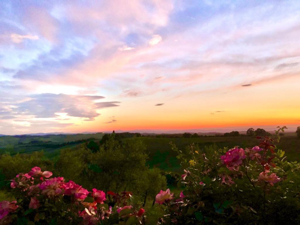 Agriturismo Sole Villa Trequanda Exterior foto